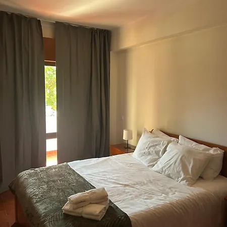 Cozy Apartment